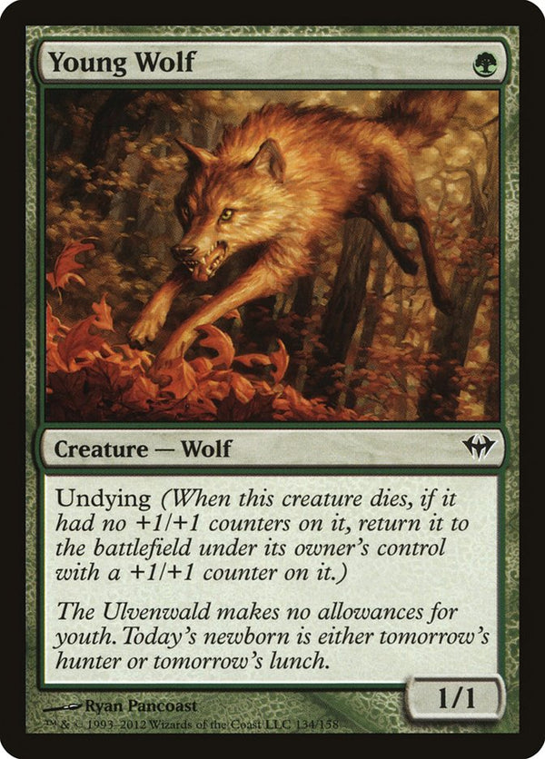 Young Wolf - Magic: The Gathering