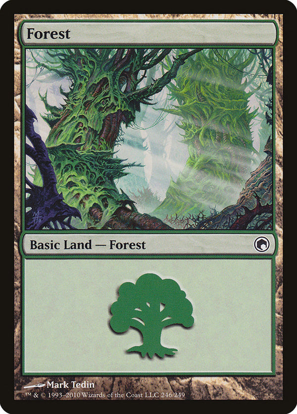 Forest (246) - Magic: The Gathering