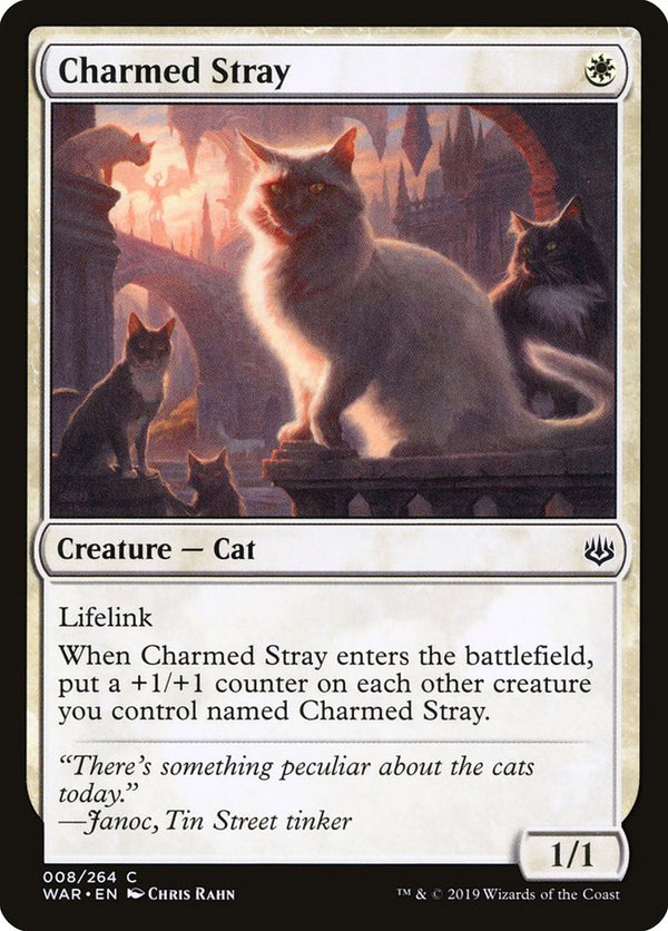 Charmed Stray - Magic: The Gathering