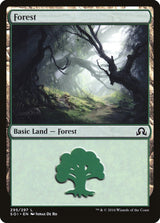 Forest (295) - Magic: The Gathering