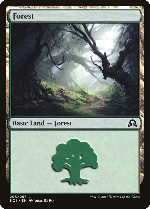 Forest (295) - Magic: The Gathering