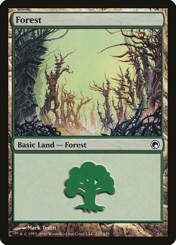 Forest (247) - Magic: The Gathering