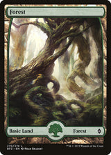Forest (270) - Full Art - Magic: The Gathering