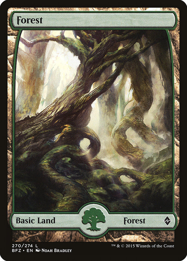 Forest (270) - Full Art - Magic: The Gathering
