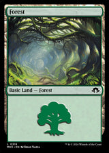 Forest (0319) - Magic: The Gathering