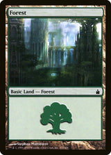 Forest (303) - Magic: The Gathering