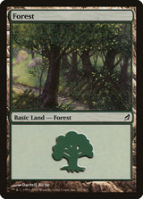 Forest (301) - Magic: The Gathering
