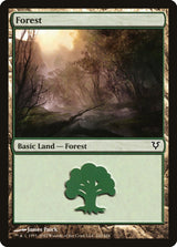 Forest (242) - Magic: The Gathering