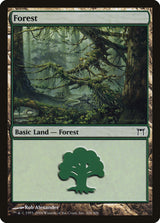 Forest (306) - Magic: The Gathering