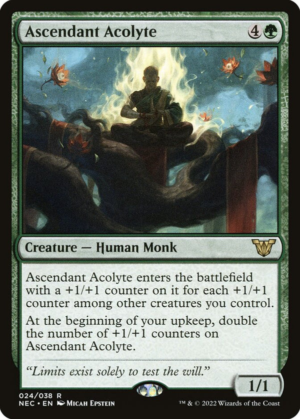 Ascendant Acolyte - Magic: The Gathering