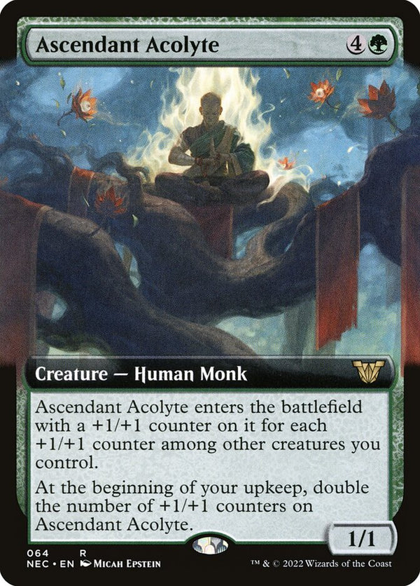 Ascendant Acolyte (Extended Art) - Magic: The Gathering