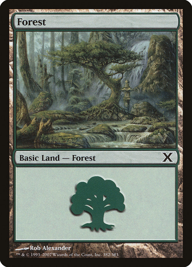 Forest (382)