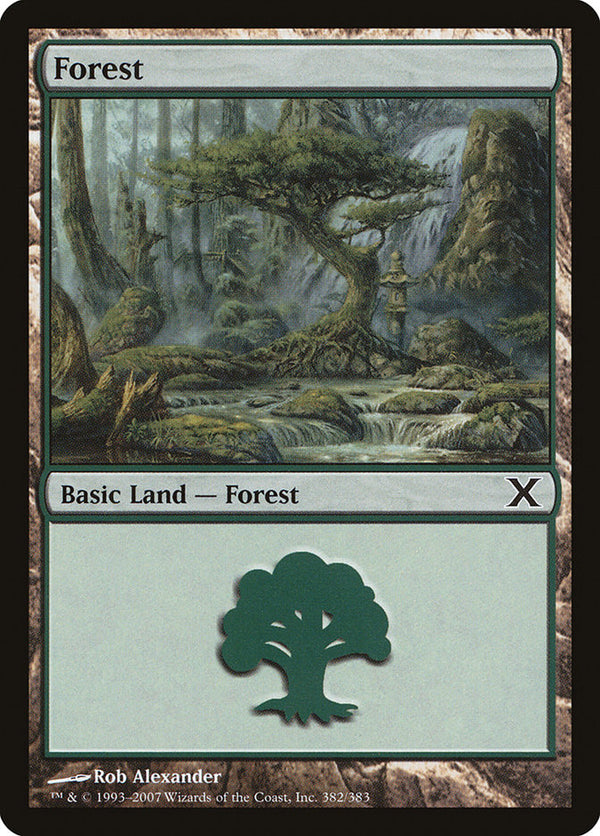 Forest (382) - Magic: The Gathering