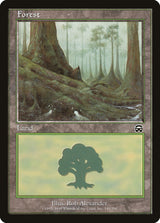 Forest (348) - Magic: The Gathering