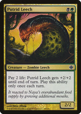 Putrid Leech - Magic: The Gathering