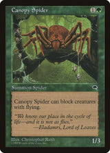 Canopy Spider - Magic: The Gathering