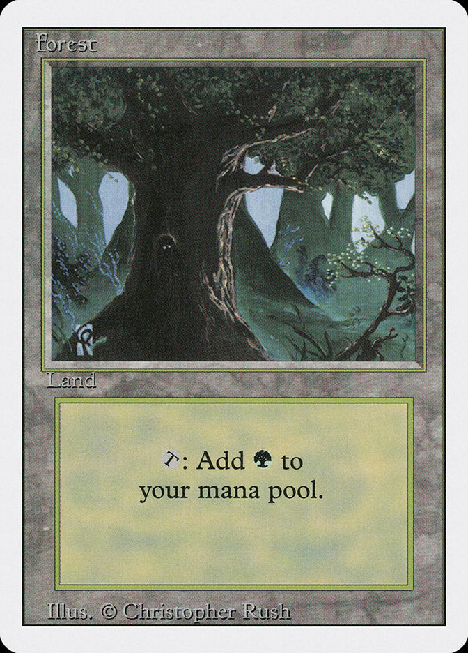 Forest (C)
