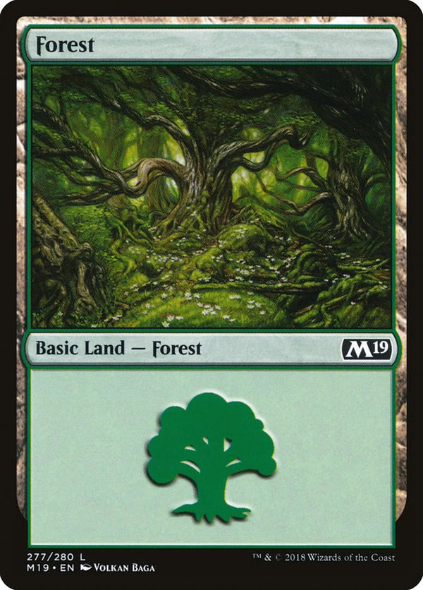 Forest (277) - Magic: The Gathering