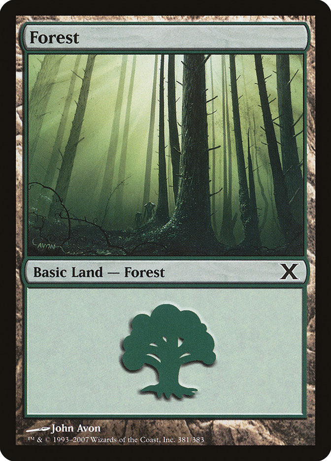 Forest (381)