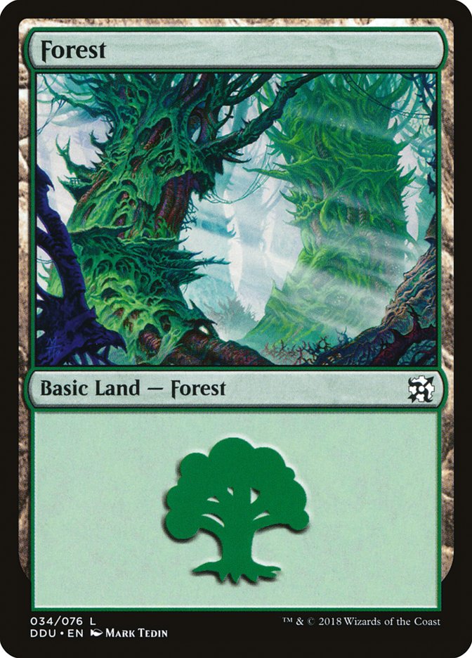 Forest (034)