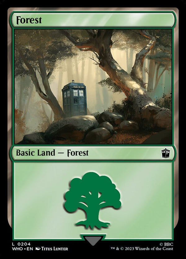 Forest (0204) - Magic: The Gathering