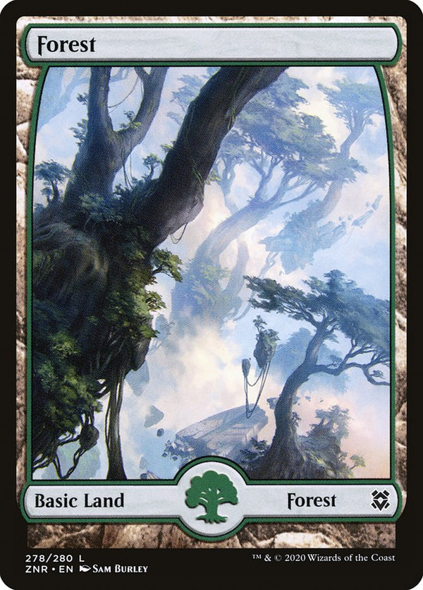 Forest (278) - Full Art - Magic: The Gathering