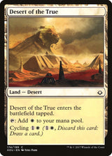Desert of the True - Magic: The Gathering