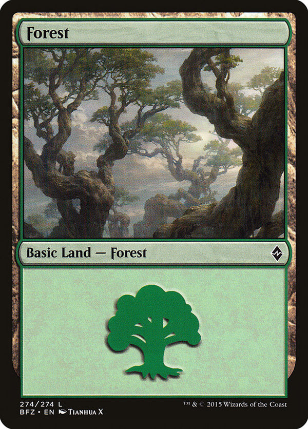 Forest (274) - Magic: The Gathering