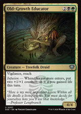 Old-Growth Educator - Magic: The Gathering
