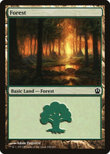 Forest (248) - Magic: The Gathering