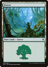 Forest (266) - Magic: The Gathering